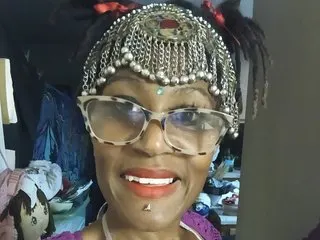 Minnysotawinter500 cam model