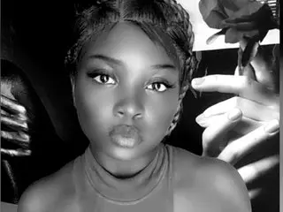 MissaquariumX cam model