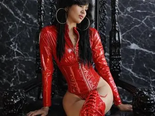 Mogollon cam model