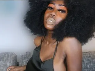 NiotMoreaux cam model