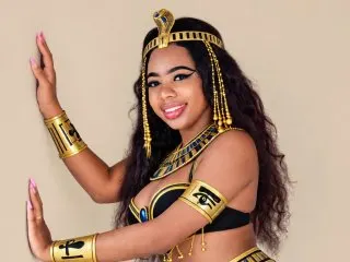 Niyirey95 cam model