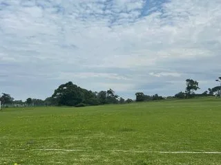 NovaBoss — live cam