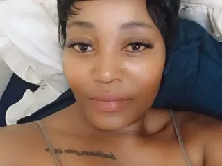 Portableamber cam model