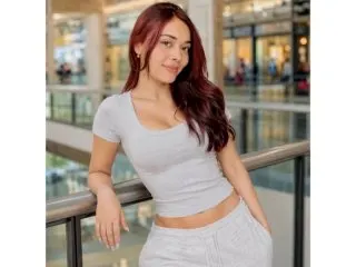 SophiaGate cam model