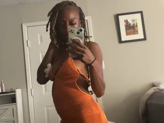 Sue88 cam model