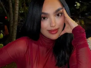 Valcorleonne cam model