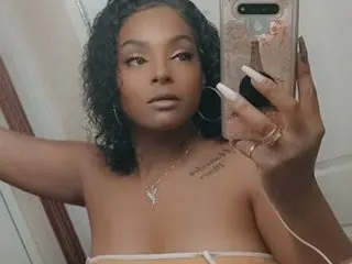 cummilf92 cam model
