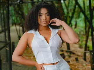 kemm_hott cam model