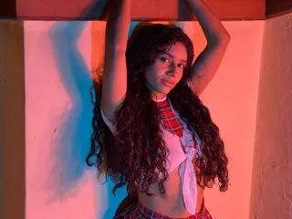 naslysmith cam model