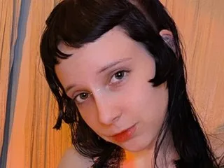 petitfayette